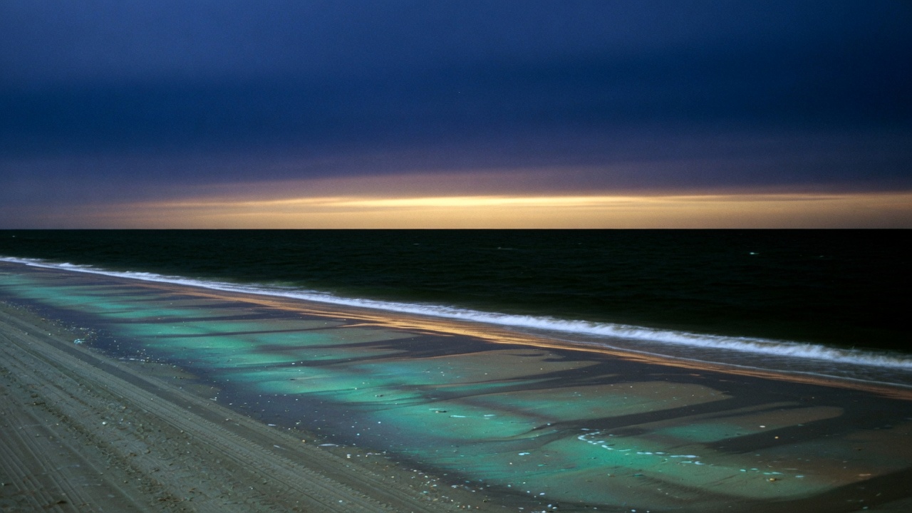 Gulf Coast shoreline at blue hour